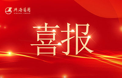 喜讯丨热烈：亟鹕吵莏s93线路检测中心铜铝业公司荣登2025年中国民营企业500强！